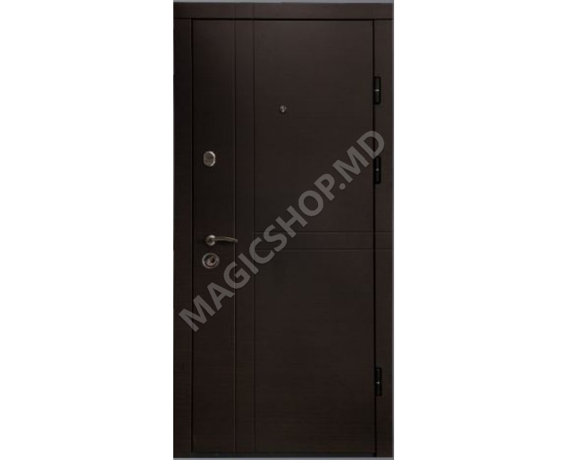 Наружная дверь DIPLOMAT 120 (2050x860x70mm)